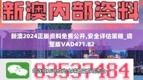 新澳2024年最新版资料,快捷方案问题解决_游戏版92.574