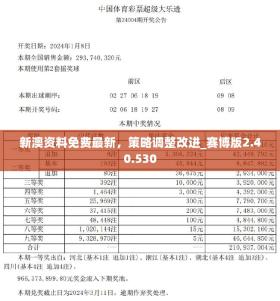 2024年新澳开奖结果及动态词语落实解释-图1