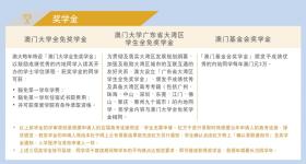 澳门资料全解析，内部与公开资料简明指南_策划版31.082-图8